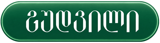 გუდვილი Logo