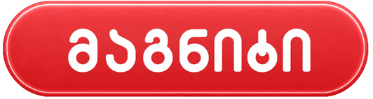 მაგნიტი Logo