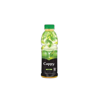 CAPPY წვენი ვაშლის 0.5ლ/5449000213884