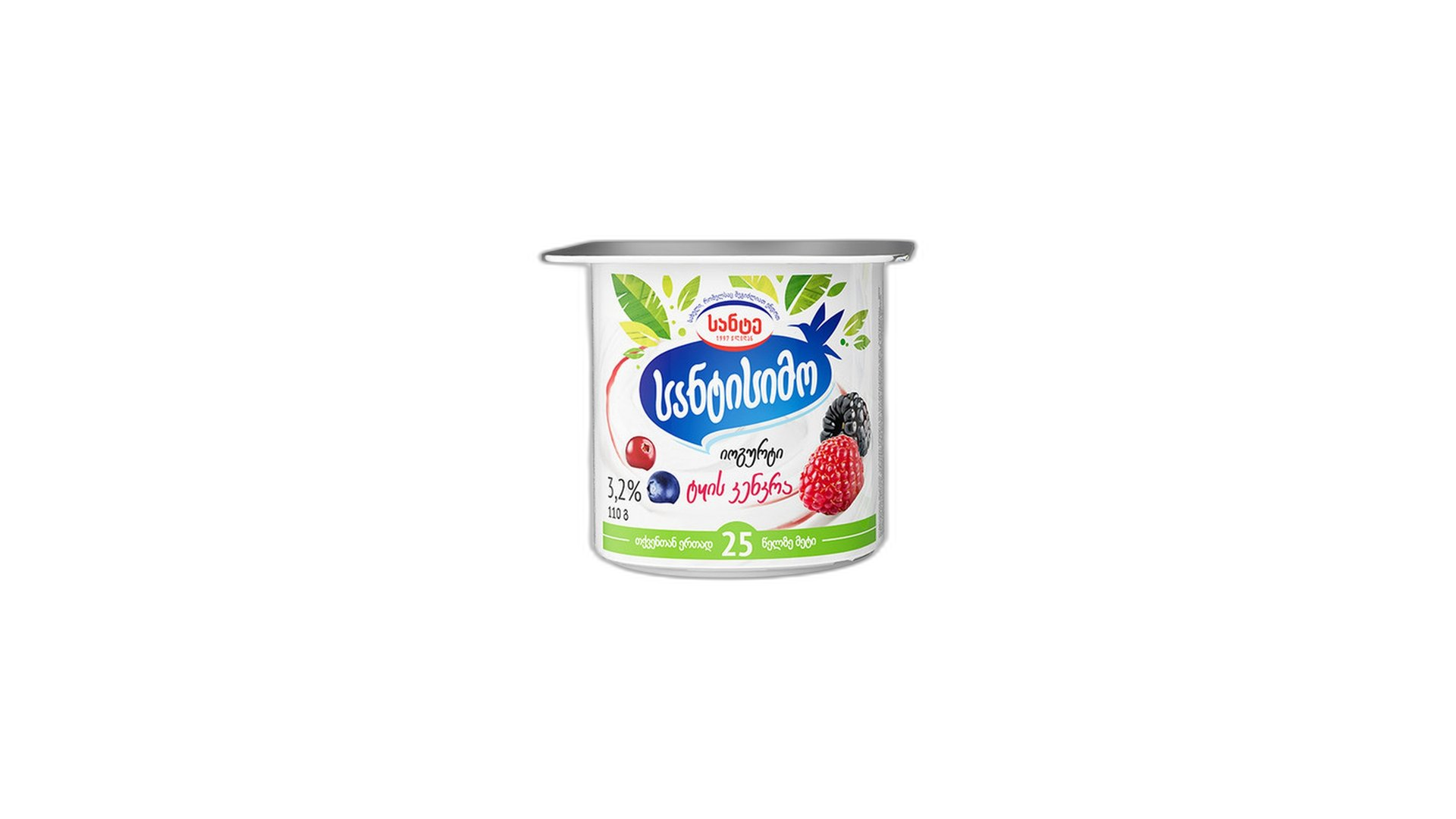 სანტისიმო იოგურტი ერკა ტყის კენკრა 110 გ/4860051007702