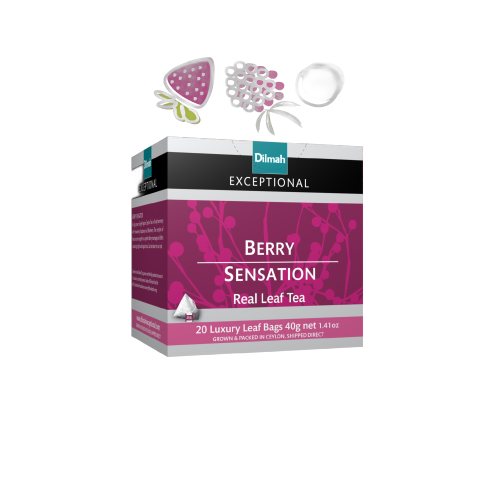 კენკრის ჩაი 'რჩეული' ცეილონის 40გრ / დილმა / Dilmah / 40გრ