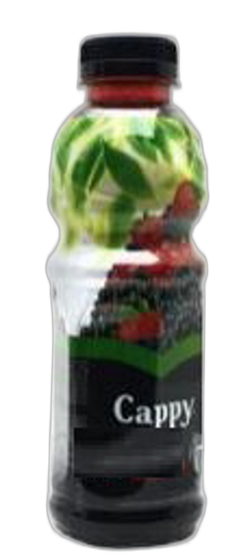 წვენი / კაპი ფალფი / ტყის კენკრა / 1 ლ