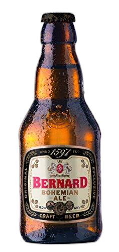 Bernard ლუდი