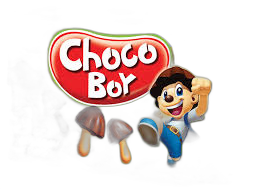 CHOCO BOY-მშრალი ნამხცვარი  შოკოლადით  100 გრ