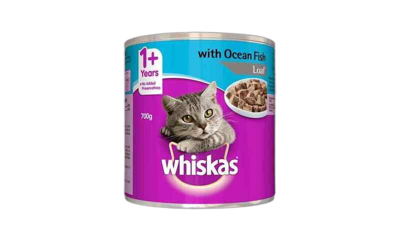 "ვისკასი"- კატის საკვები "ტუნა" ჟელეში 400გრ (24)