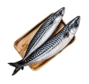 „ვიჩი“  სკუმბრია 900 გ