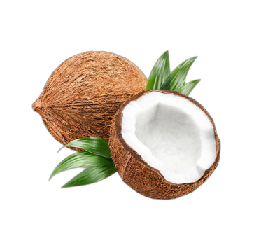 ქოქოსი 1 ც.