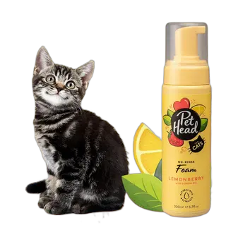 Pet Head ლიმონბერი კატების შამპუნი, 200მლ