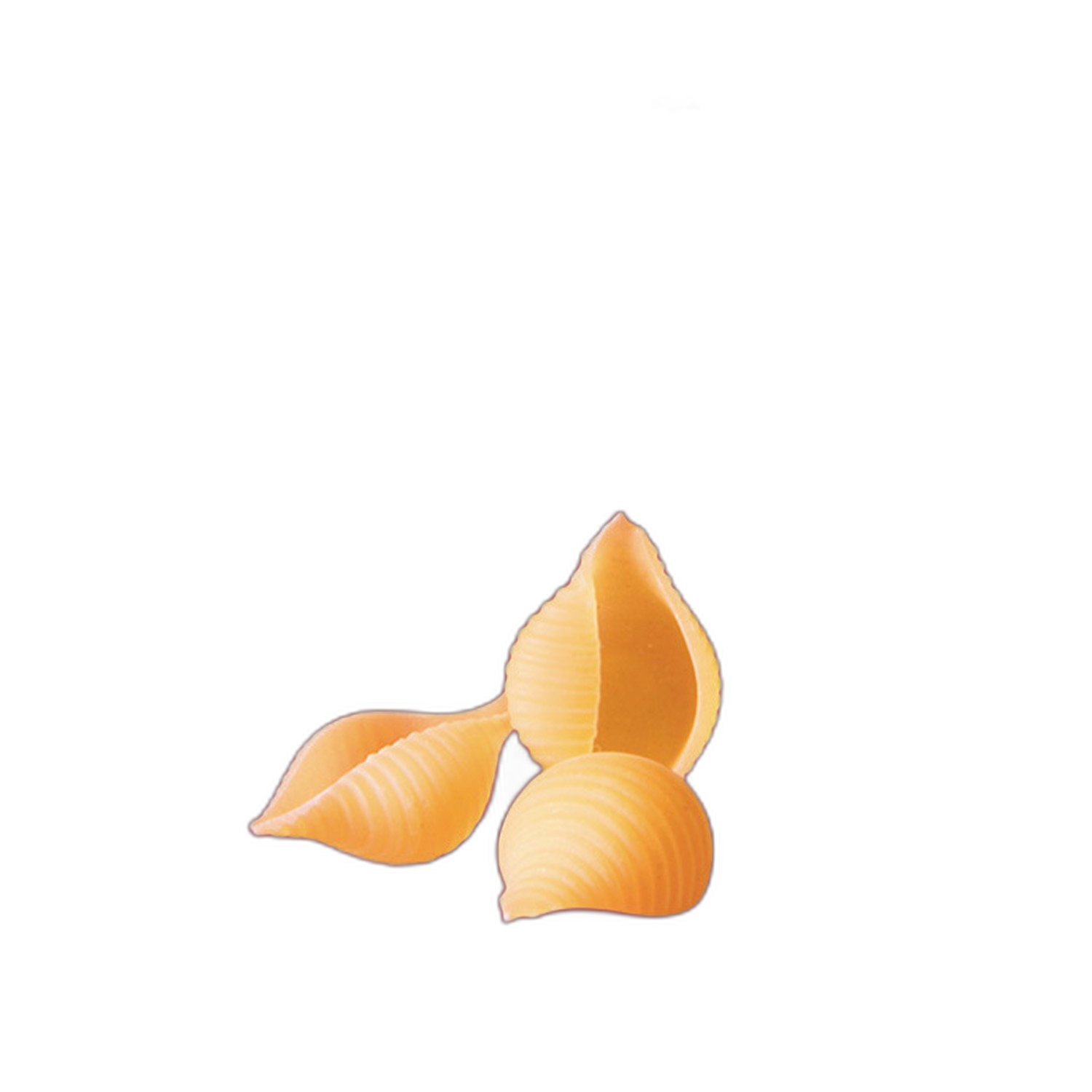 CONCHIGLIE RIGATE:500gr TAMMA #091 8006905010917